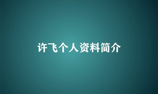 许飞个人资料简介