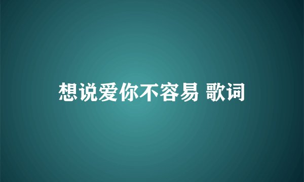 想说爱你不容易 歌词