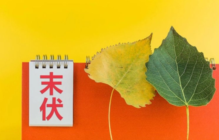 三伏最后一天是几号