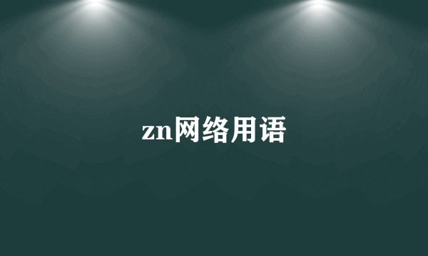 zn网络用语