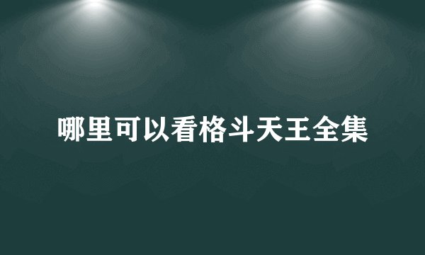 哪里可以看格斗天王全集