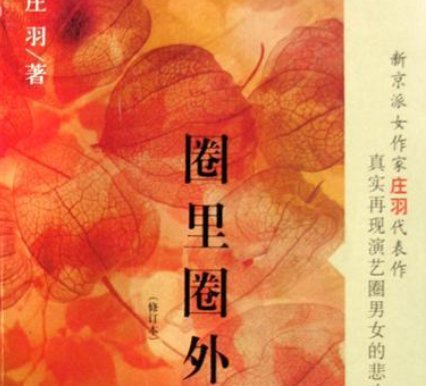 庄羽《圈里圈外》的大概内容。