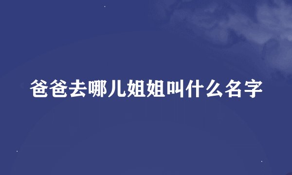 爸爸去哪儿姐姐叫什么名字