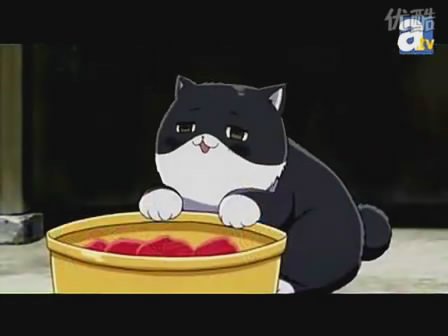 喵塔利亚的介绍