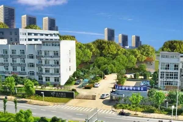 青鸟学校在什么地方