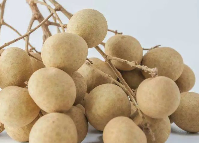 桂圆之乡是哪个地方