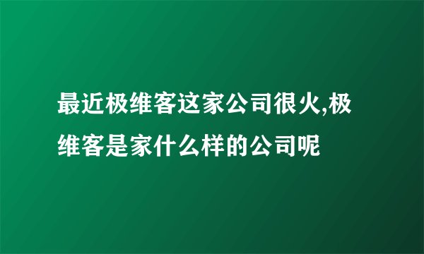 最近极维客这家公司很火,极维客是家什么样的公司呢