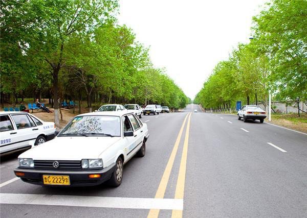 河南一女子考科目二一把过，激动空翻出考场，你还记得自己考驾照的心情吗？