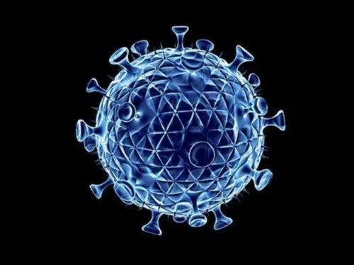 31省份新增本土确诊病例50例，其中浙江45例，为何都集中在浙江？