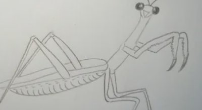 螳螂初号机怎么画