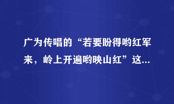 广为传唱的“若要盼得哟红军来，岭上开遍哟映山红”这句歌词出自电影（ ）。