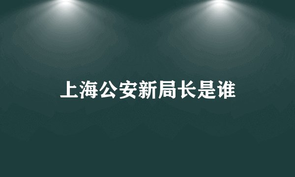 上海公安新局长是谁