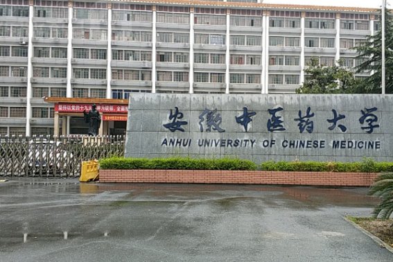 合肥公办卫校排名