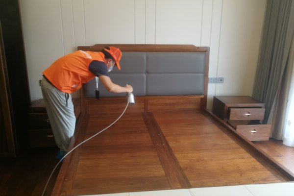 除甲醛公司哪家好