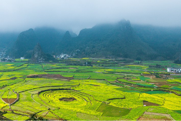 十个有田的独体字怎么写