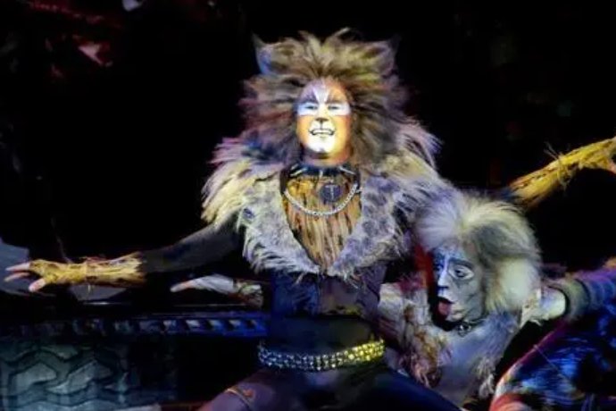 用艺术的角度简述歌舞剧猫