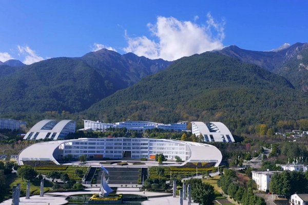 2023大理大学艺术生录取分数线如下？