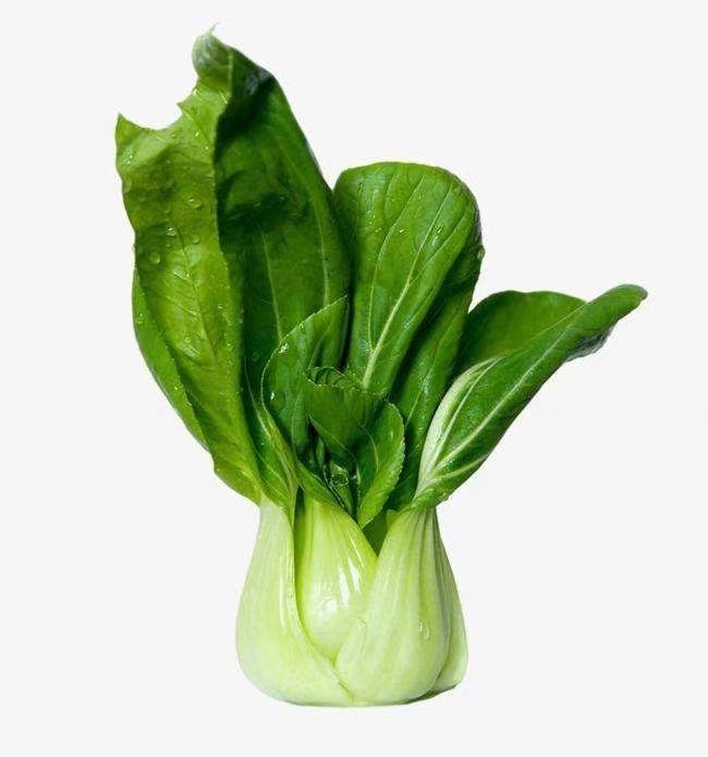 男子在非洲把“上海青”种成了“万年青”，他到底是如何做到的？