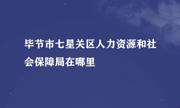 毕节市七星关区人力资源和社会保障局在哪里