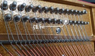 弦轴的作用 弦轴的作用简述