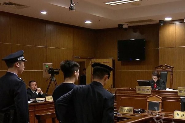 媒体评安阳狗咬人事件，2个月才道歉尽显赖皮，狗主人为何至今没有悔意？