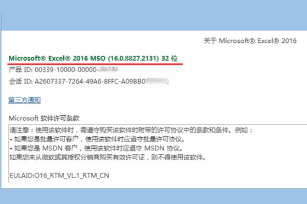 怎么看excel版本的两种方法