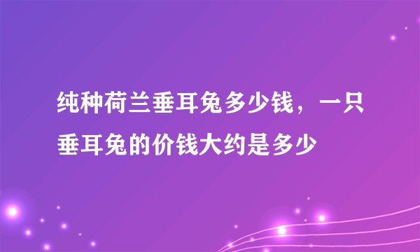 纯种荷兰垂耳兔多少钱，一只垂耳兔的价钱大约是多少