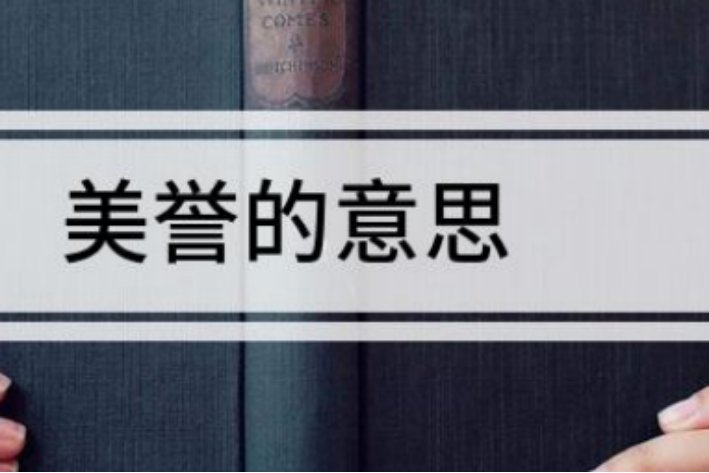 美誉的意思