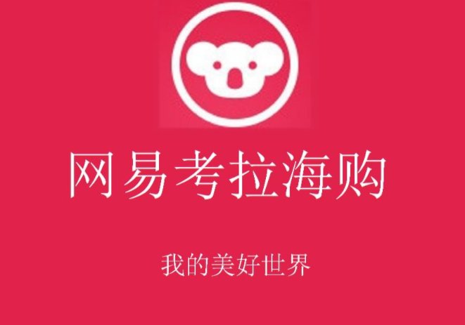 网购平台排名前十的是什么