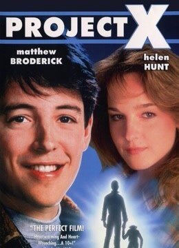 把妹幻觉的电影剧情