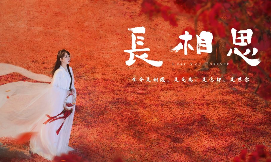 长相思点映礼是什么