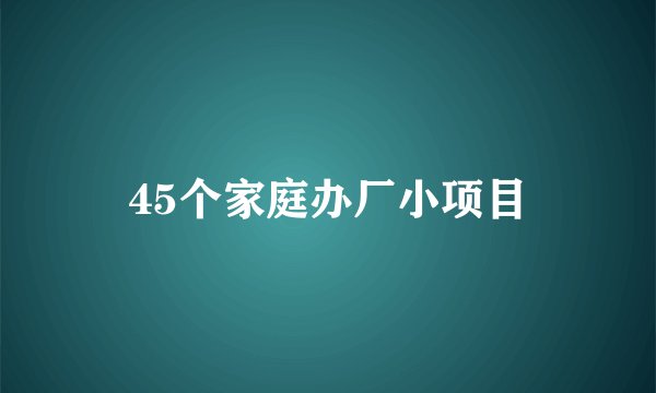 45个家庭办厂小项目