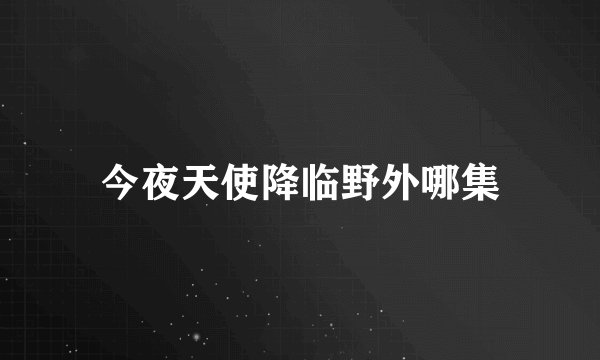 今夜天使降临野外哪集