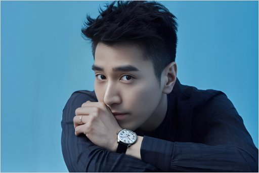 杨天真公司旗下艺人