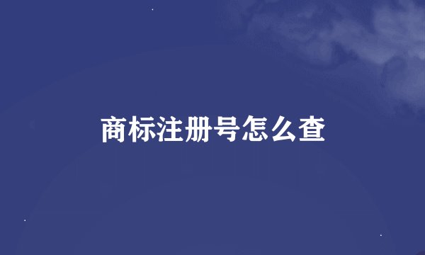 商标注册号怎么查