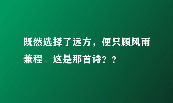既然选择了远方，便只顾风雨兼程。这是那首诗？？