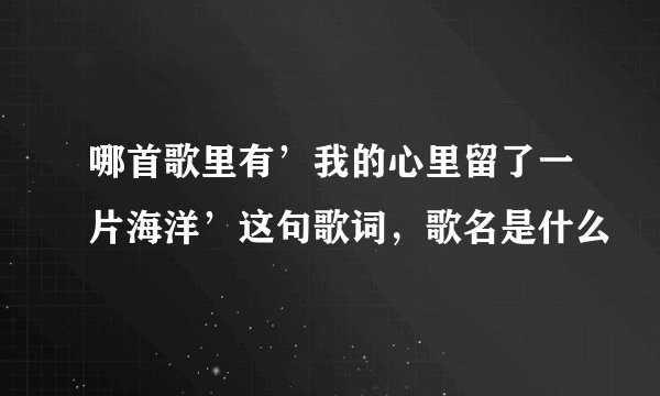 哪首歌里有’我的心里留了一片海洋’这句歌词，歌名是什么