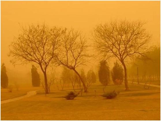 植被好转为何挡不住漫天黄沙