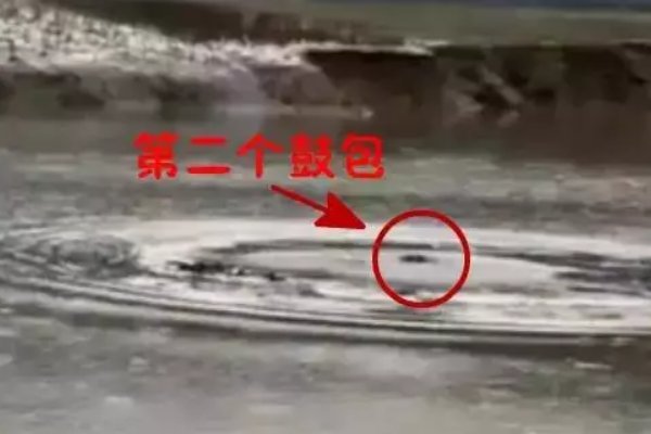 10大最吓人的水怪