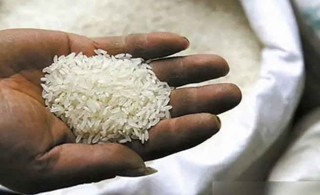 卖米北大才女作者原文