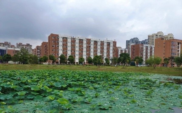 江西科技师范大学口碑