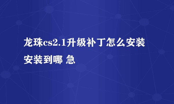 龙珠cs2.1升级补丁怎么安装 安装到哪 急