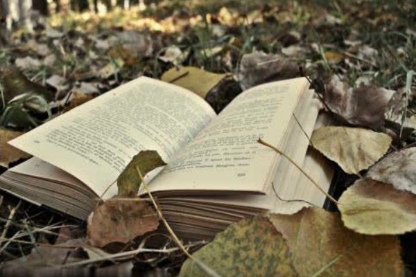 怎样正确看待荣与辱