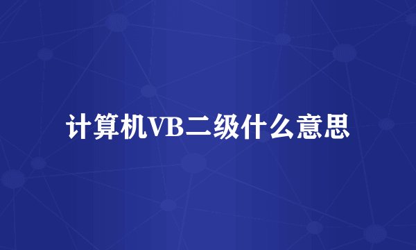 计算机VB二级什么意思