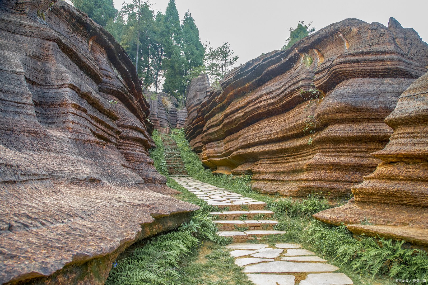 请问张家界是哪个省