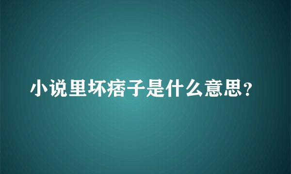 小说里坏痞子是什么意思？