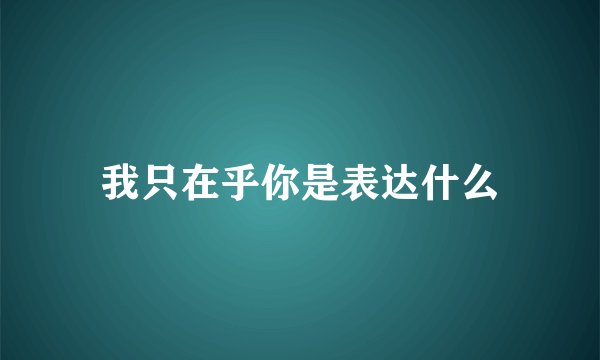 我只在乎你是表达什么