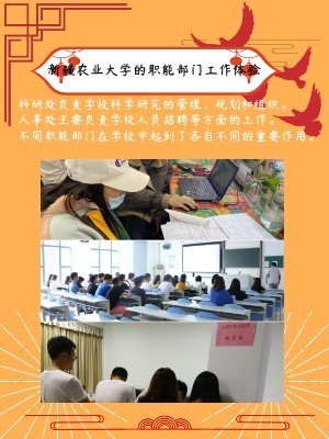 新疆农业大学的职能部门工作体验
