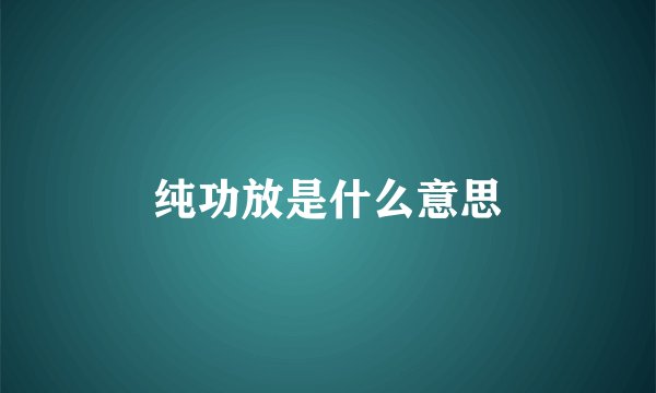 纯功放是什么意思