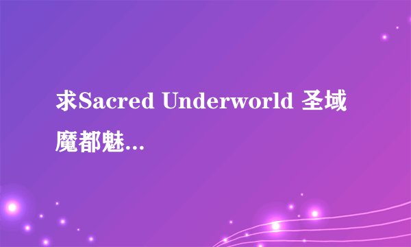 求Sacred Underworld 圣域 魔都魅影的修改器